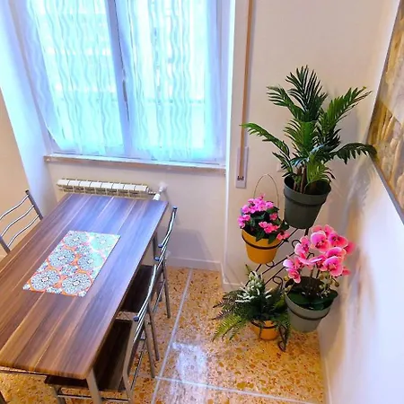 Guest house Cecilia House 4*