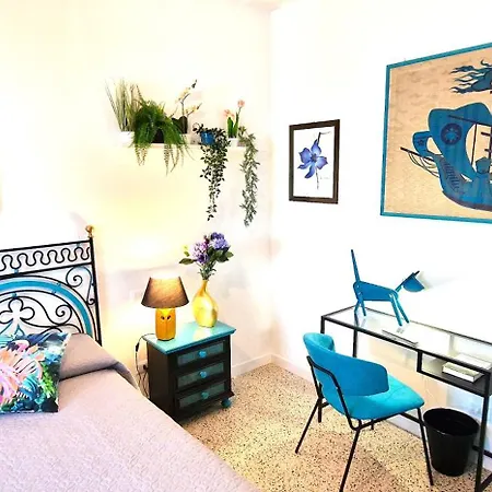 Guest house Cecilia House